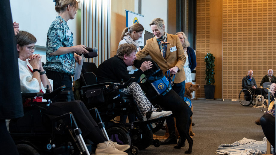 En servicehund der snuser til dens bruger til graduation
