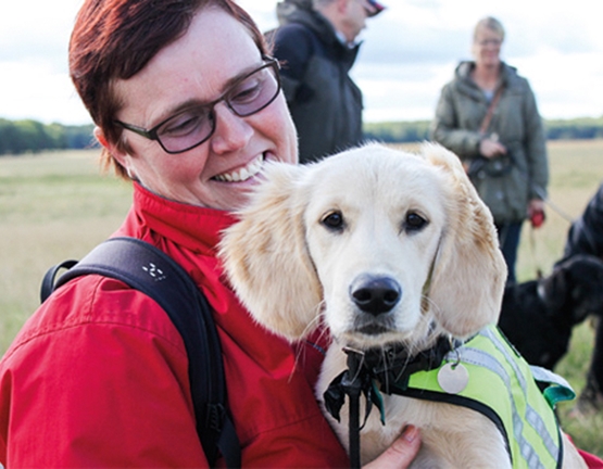 Billede af servicehunde hvalp