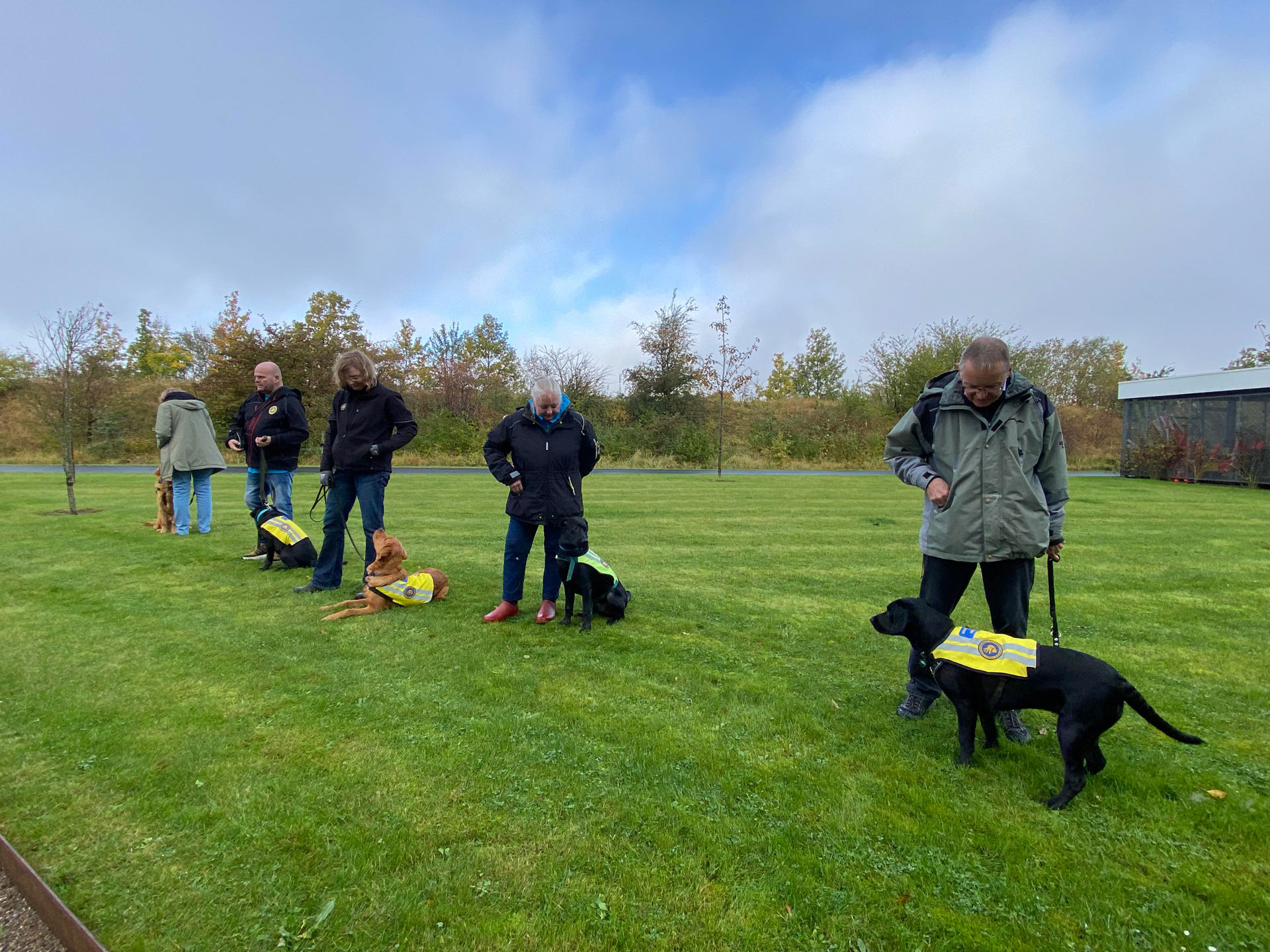 Servicehunde til hundetræning udenfor
