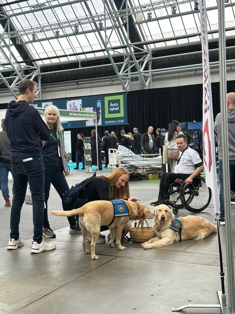 Besøgende til STHs messestand nusser servicehunde