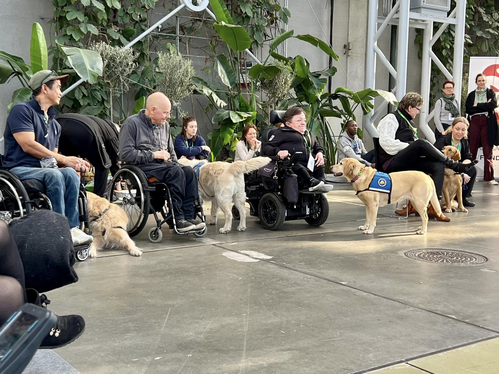 481996570 10162737757829170 626411038311402992 N