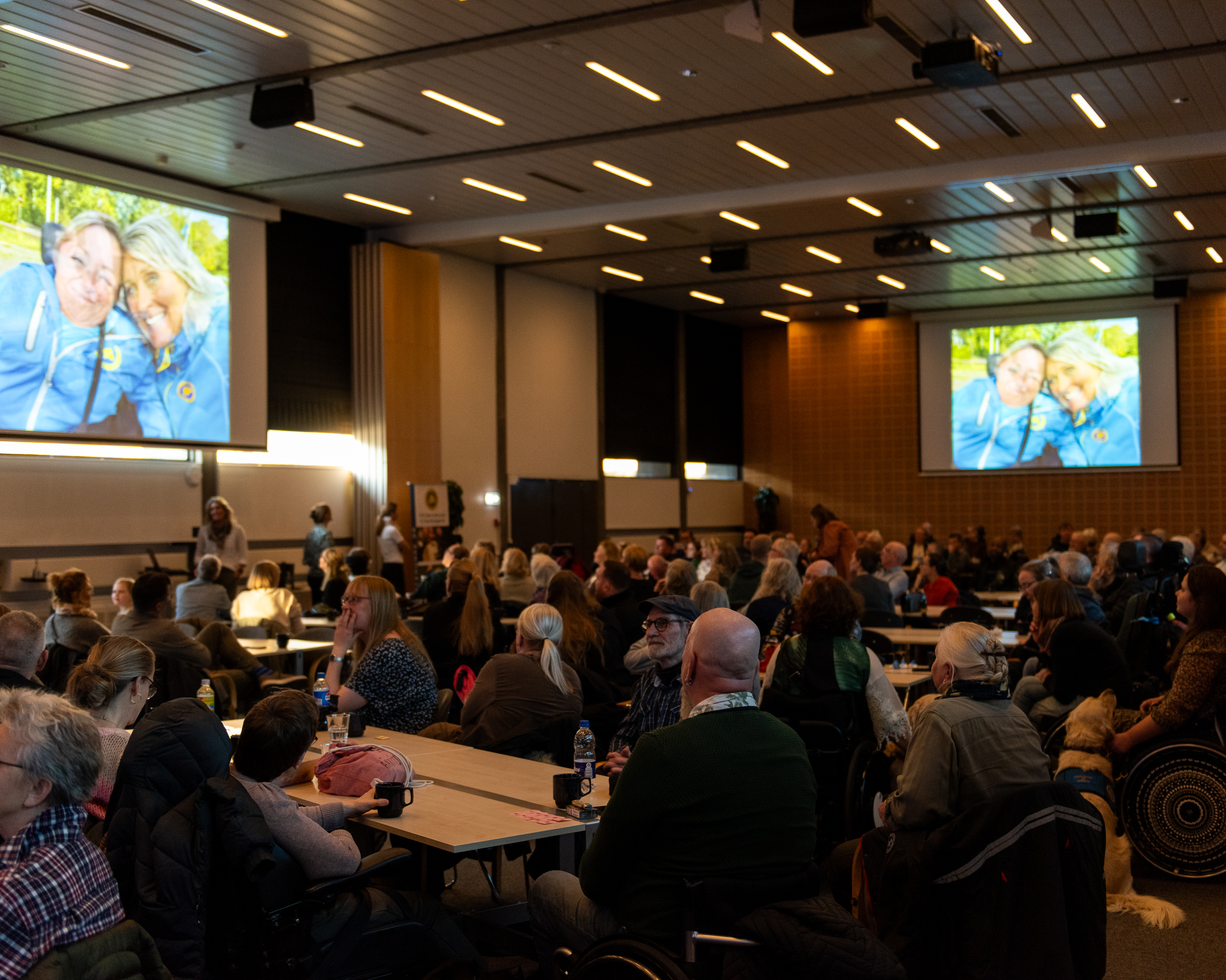 24.11.30 Hunde Og Handikatforeningen 5317