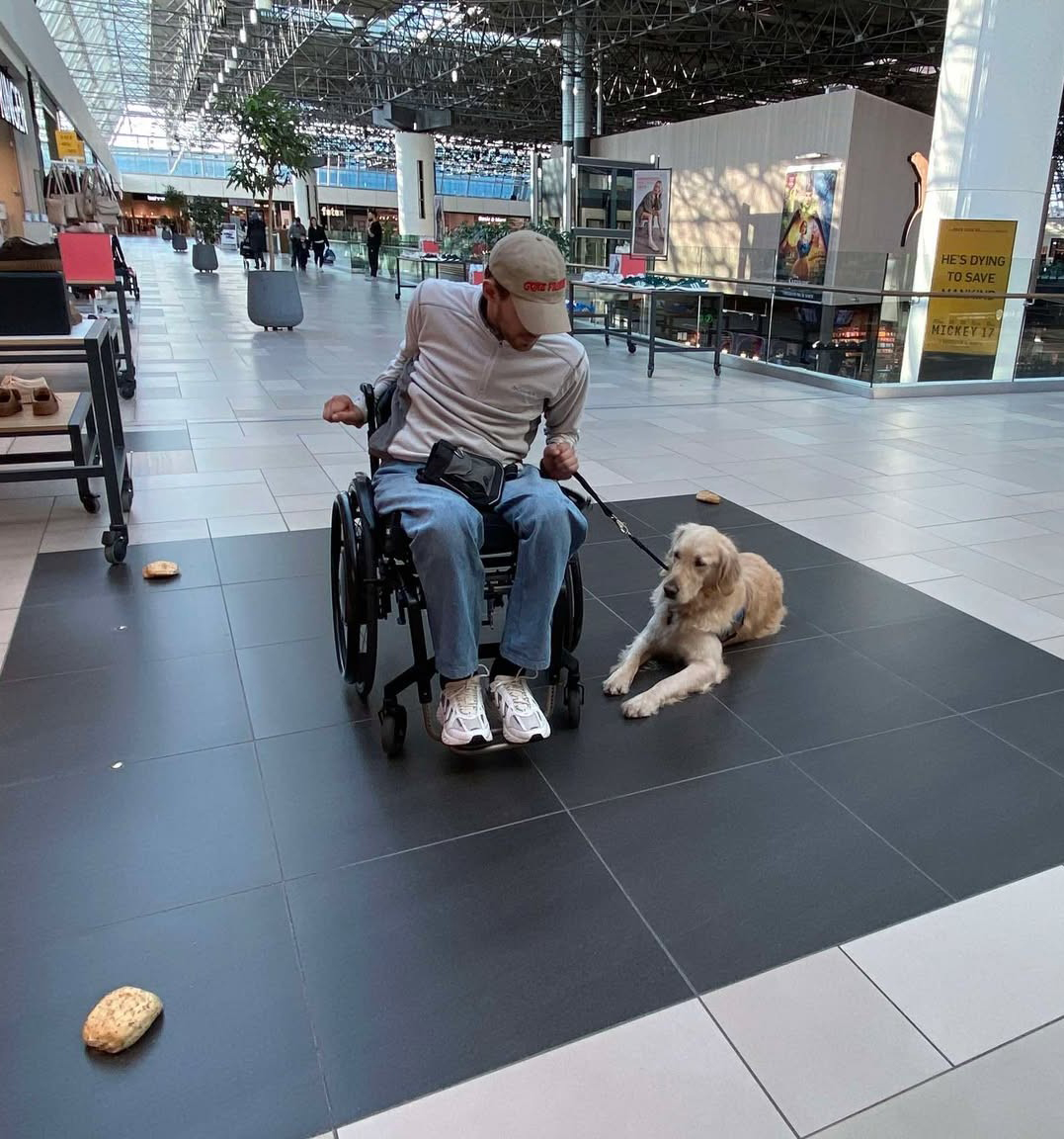 Sebastian og servicehunden Mc Kinney til hundetræning i et shoppingcenter