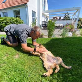 Hvalpeaspirant Pippi og hvalpevært Bo