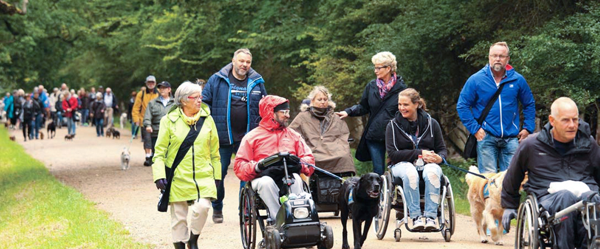 Billede af tidligere Dog A Thon