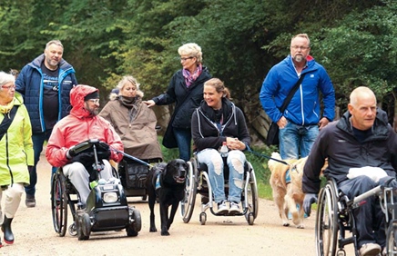 Billede af tidligere Dog A Thon