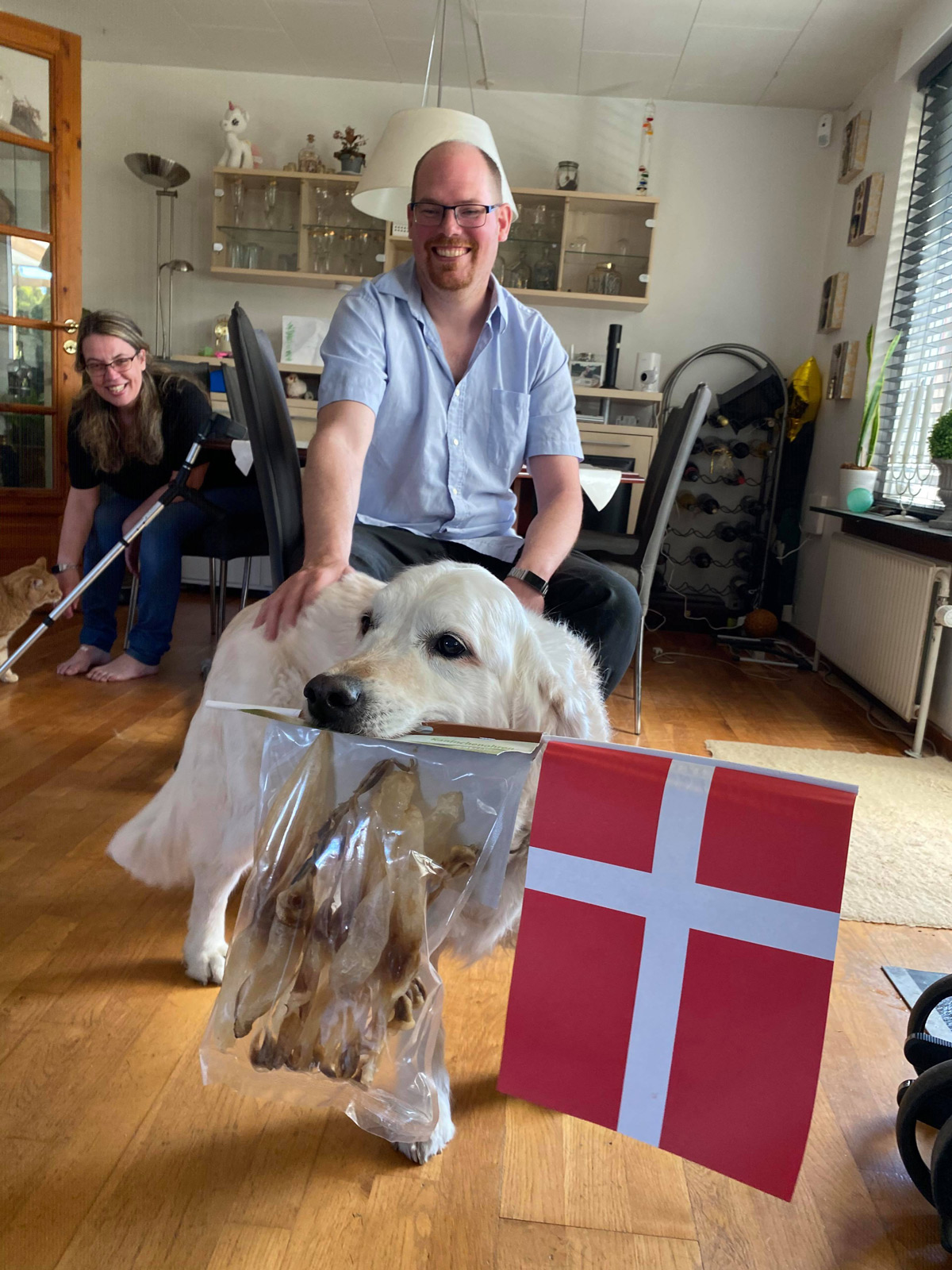 En servicehund med godbidder og et flag i munden der bliver fejret