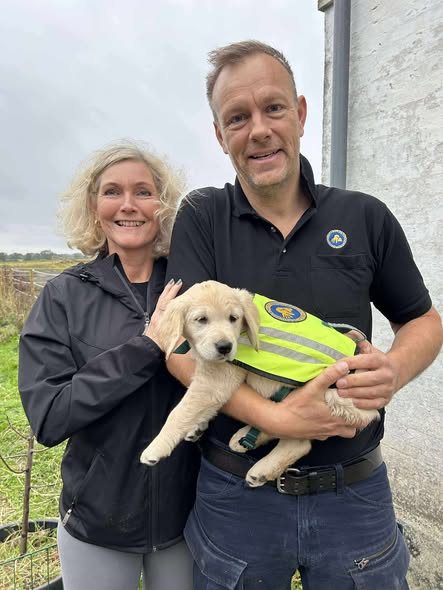 588478736 1254546186702508 534615949881026433 N