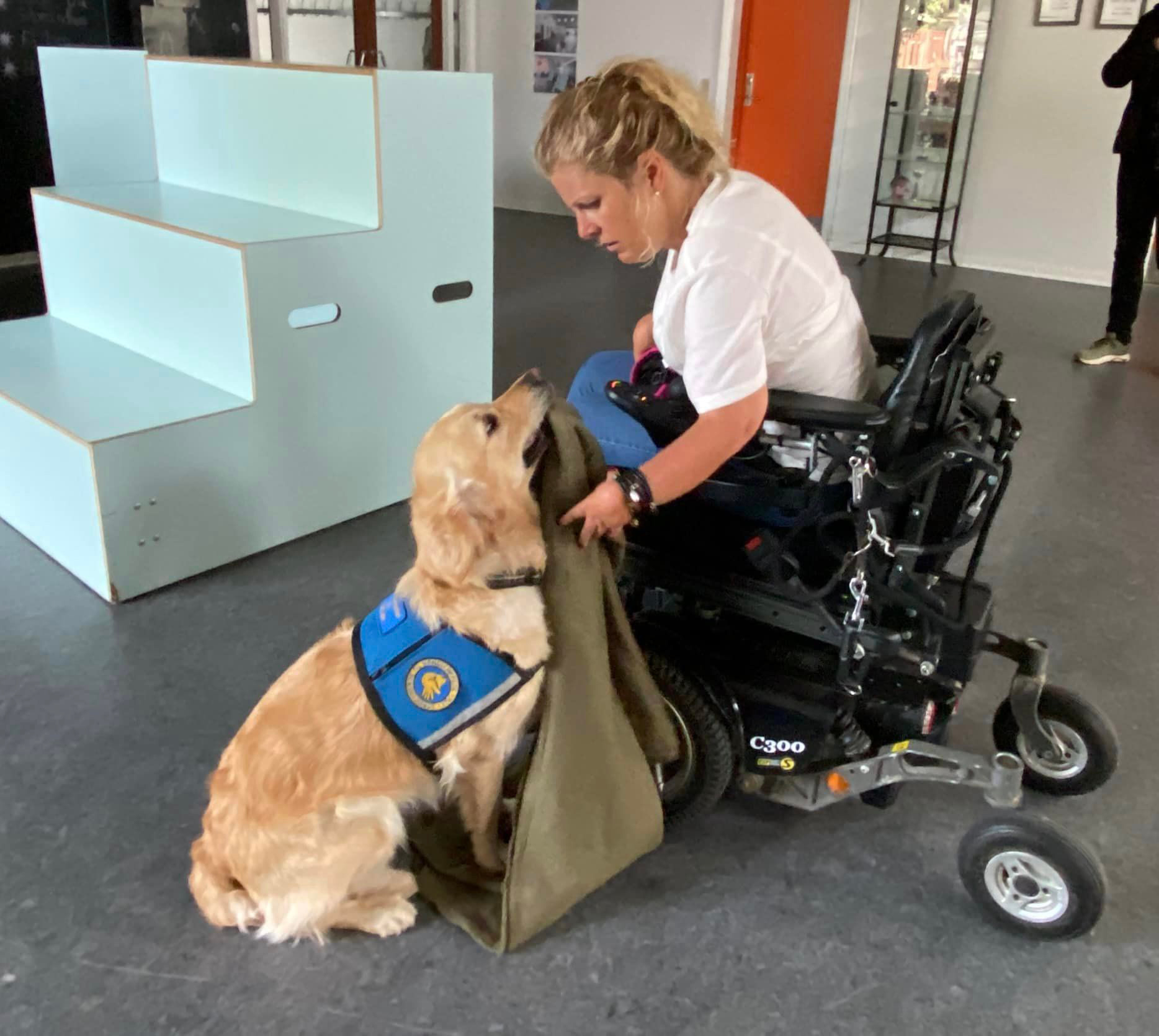 Rie og servicehunden Roxy til hundetræning