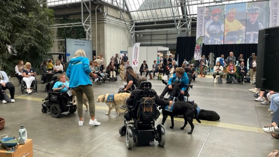Opvisning til en messe med servicehunde