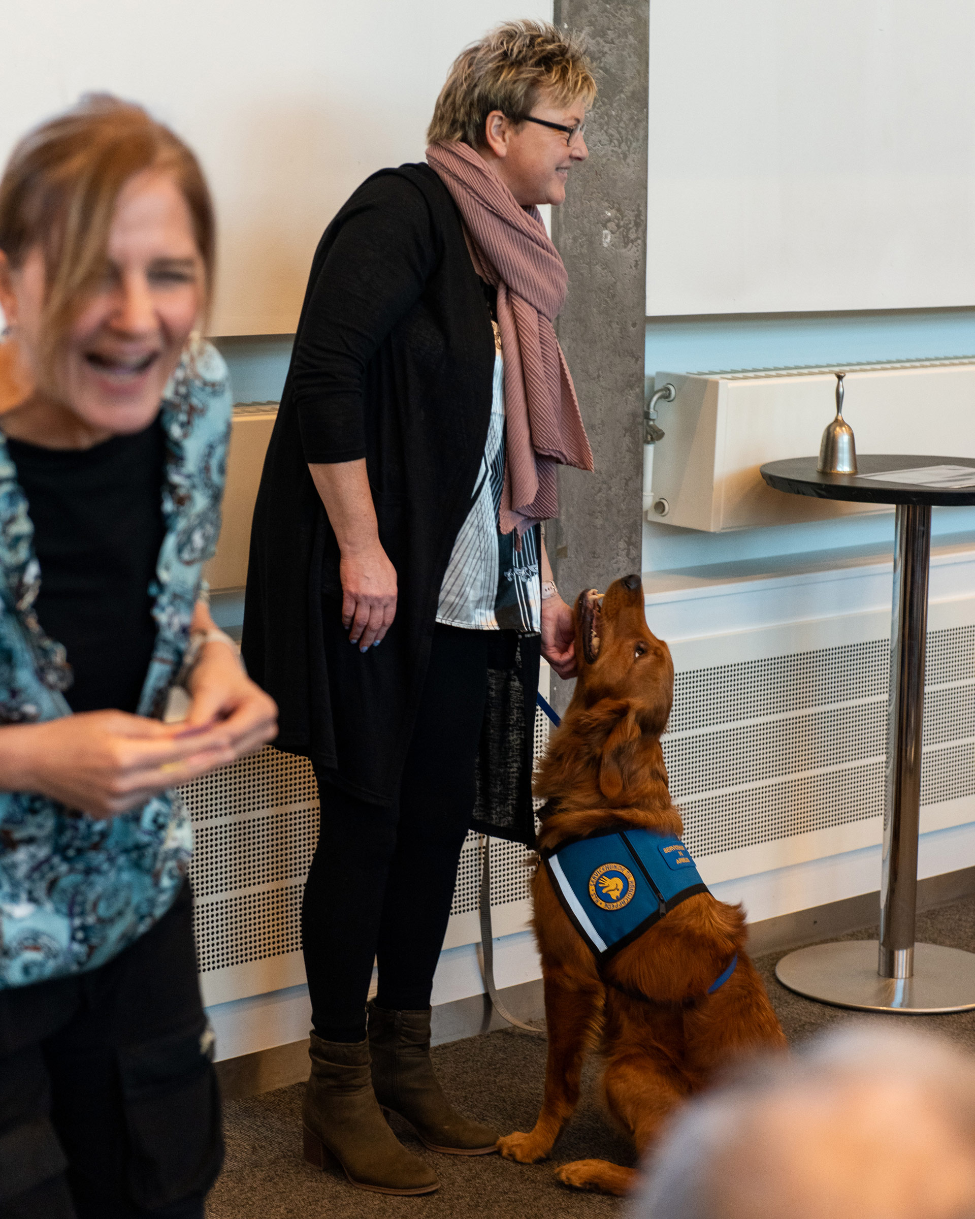 Et bestyrelsesmedlem nusser en servicehund på hagen