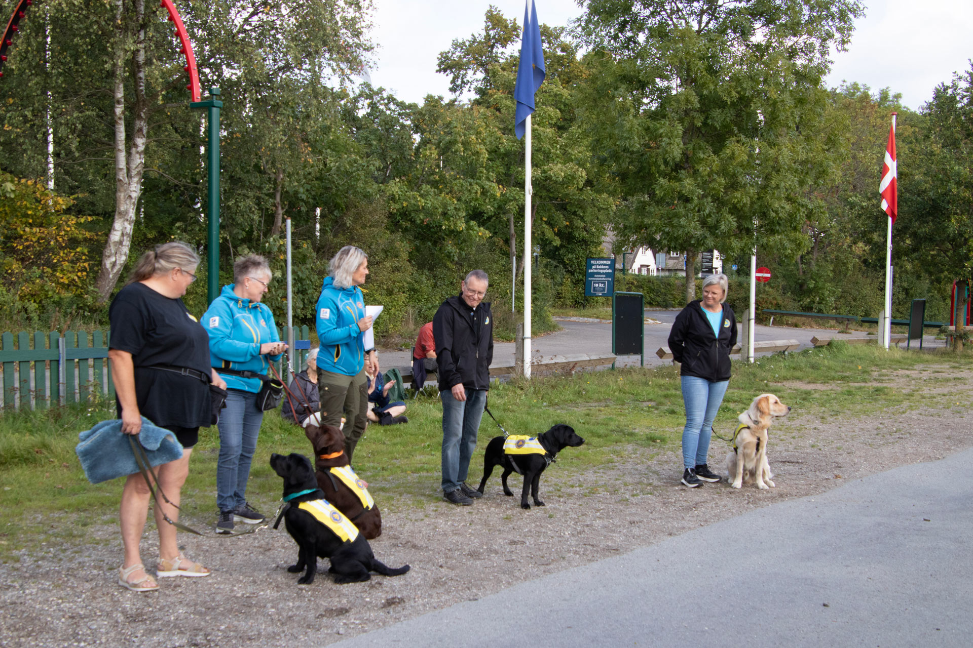 Til hundetræning med hundeinstruktører og servicehunde