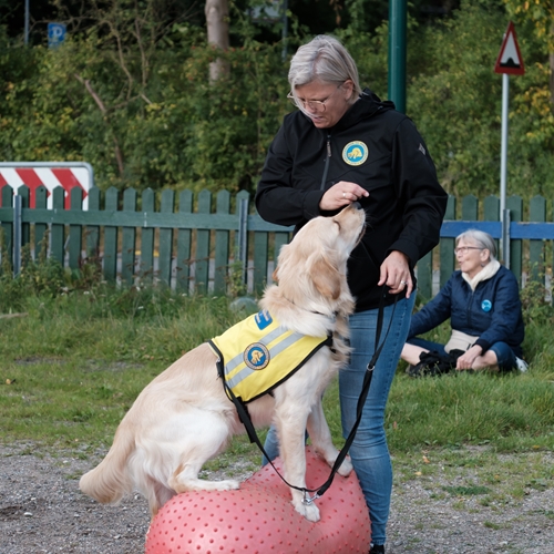 2023 09 30 STH Dog A Thon 2023 HQ 413