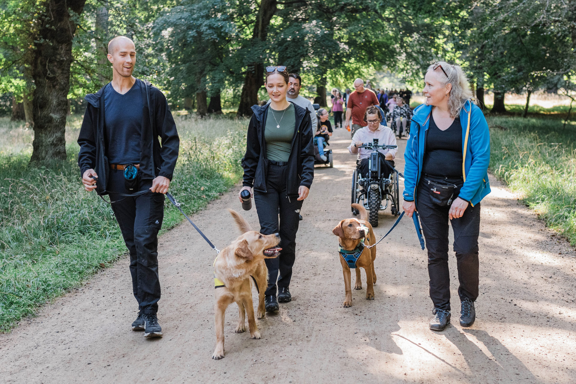 Hundeinstruktører og servicehunde i skoven til Dog A Thon