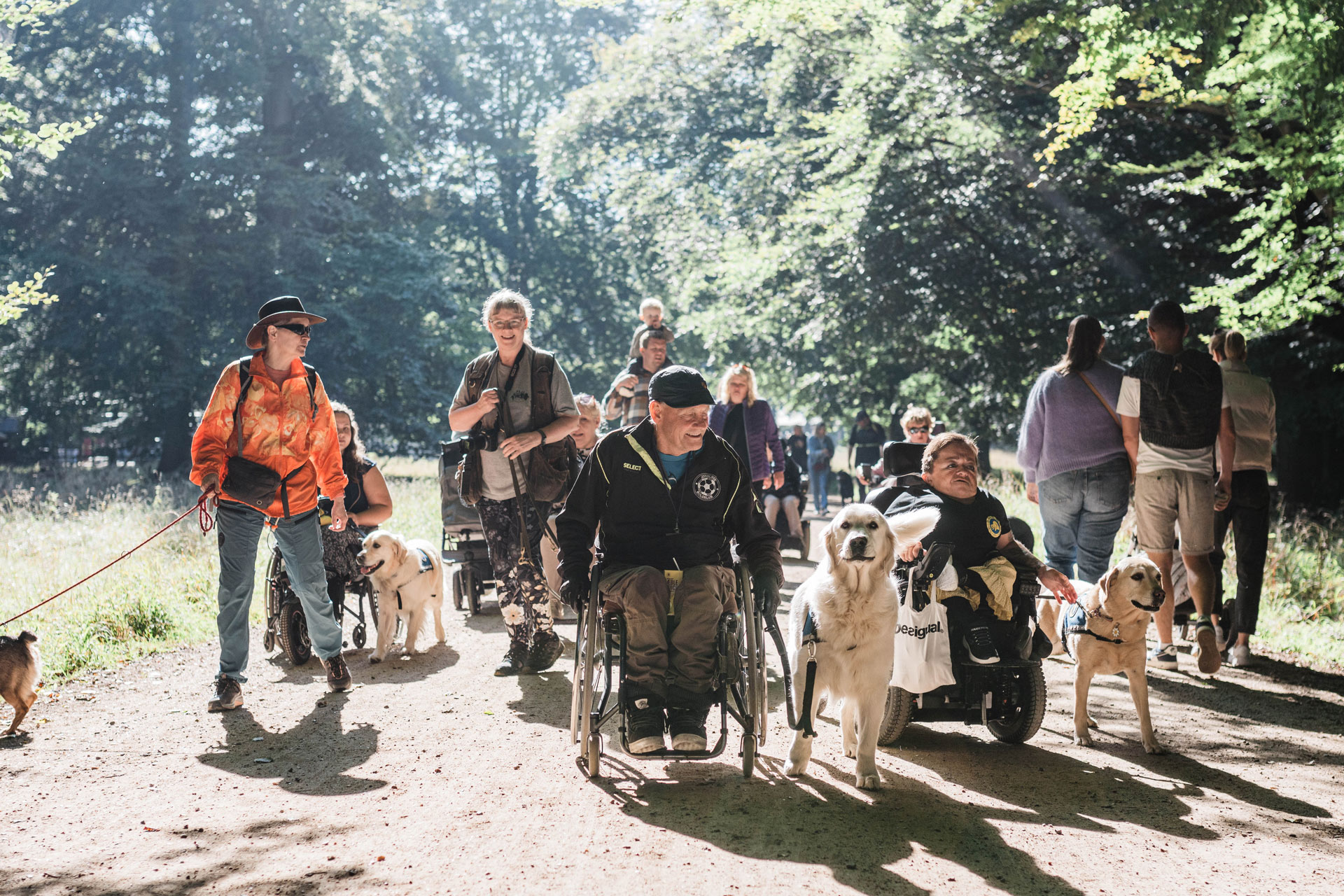 Brugere og servicehunde i skoven med deres familier til Dog A Thon