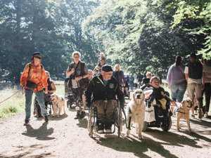 Brugere og servicehunde i skoven med deres familier til Dog A Thon