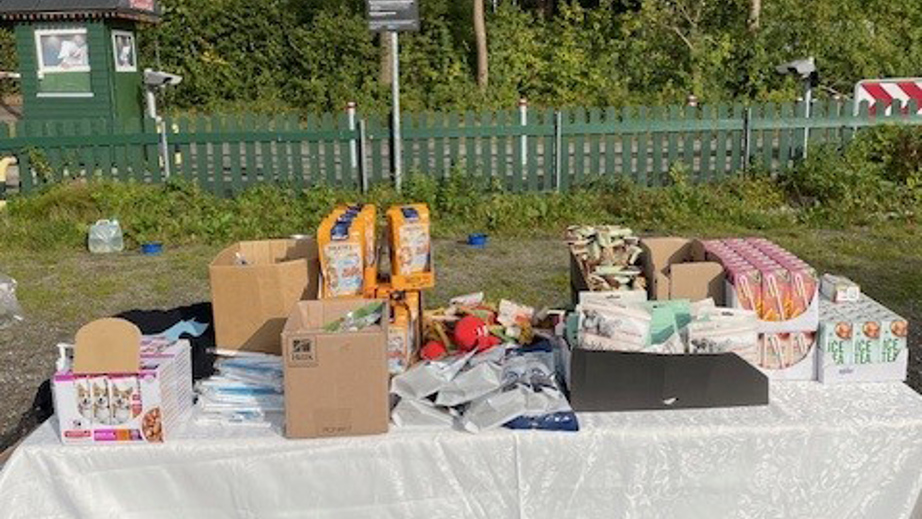 Et bord med forskellige snacks og drikkelse