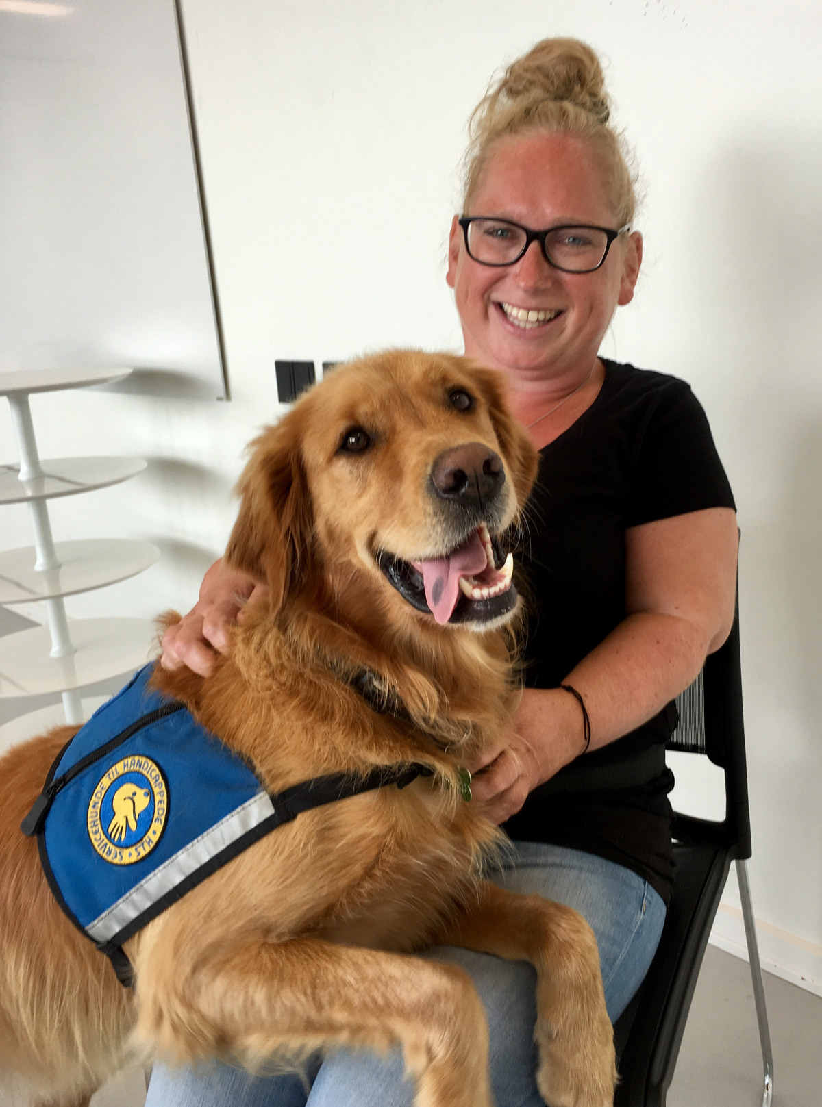 Team Susanne og Buster Ii 2017