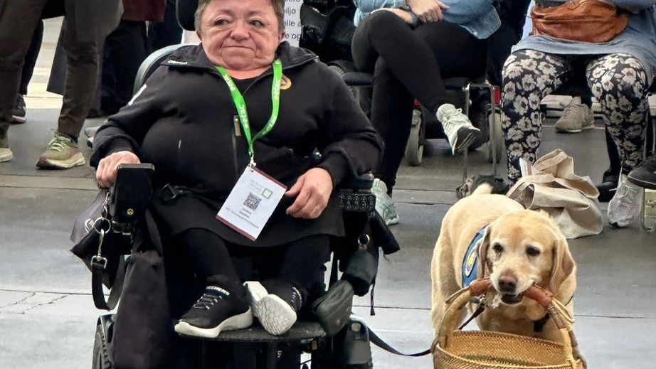 Bruger Christina og servicehund Frigga til opvisning