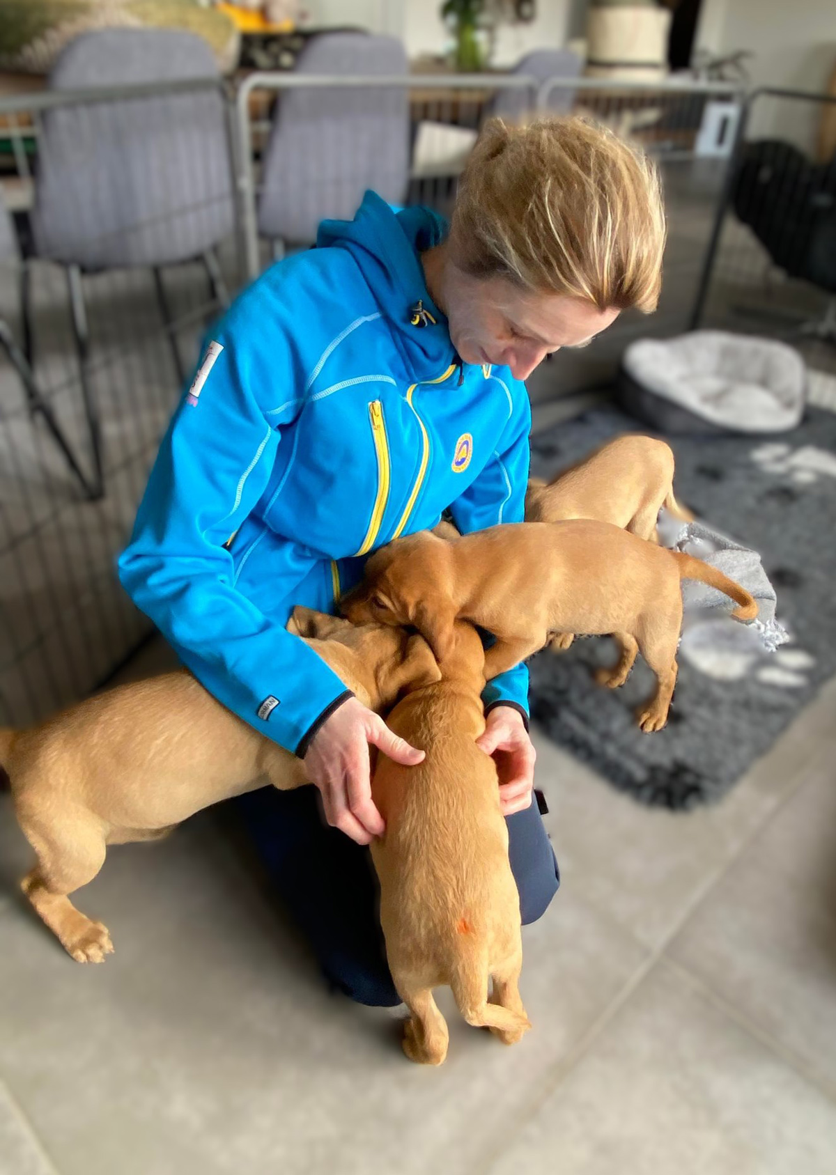 Hundeinstruktør sammen med tre hvalpeaspiranter