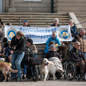 Alle samles til et fællesbillede til Dog A Thon