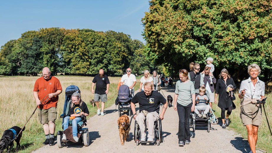 Servicehunde går sammen med deres brugere og familier udenfor i solskinsvejr