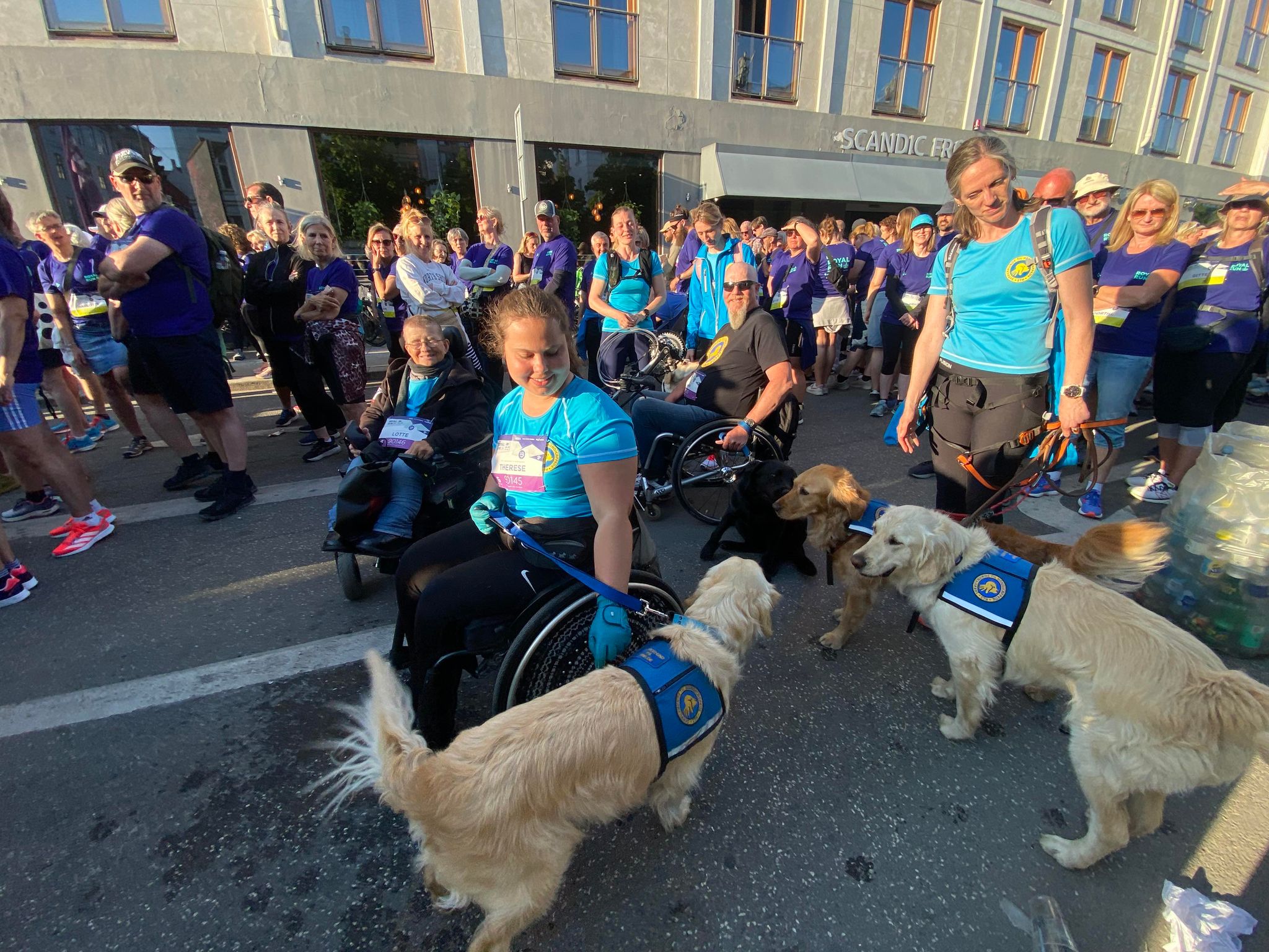 441088116 1516418015926492 6715038629482364779 N