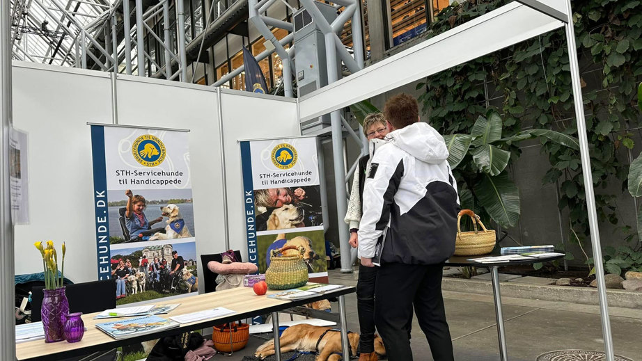 STHs messestand emd hundeinstruktører og besøgende