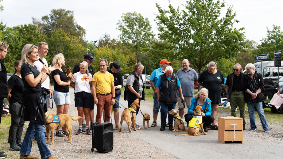 Hvalpeaspiranter der viser hvad de kan