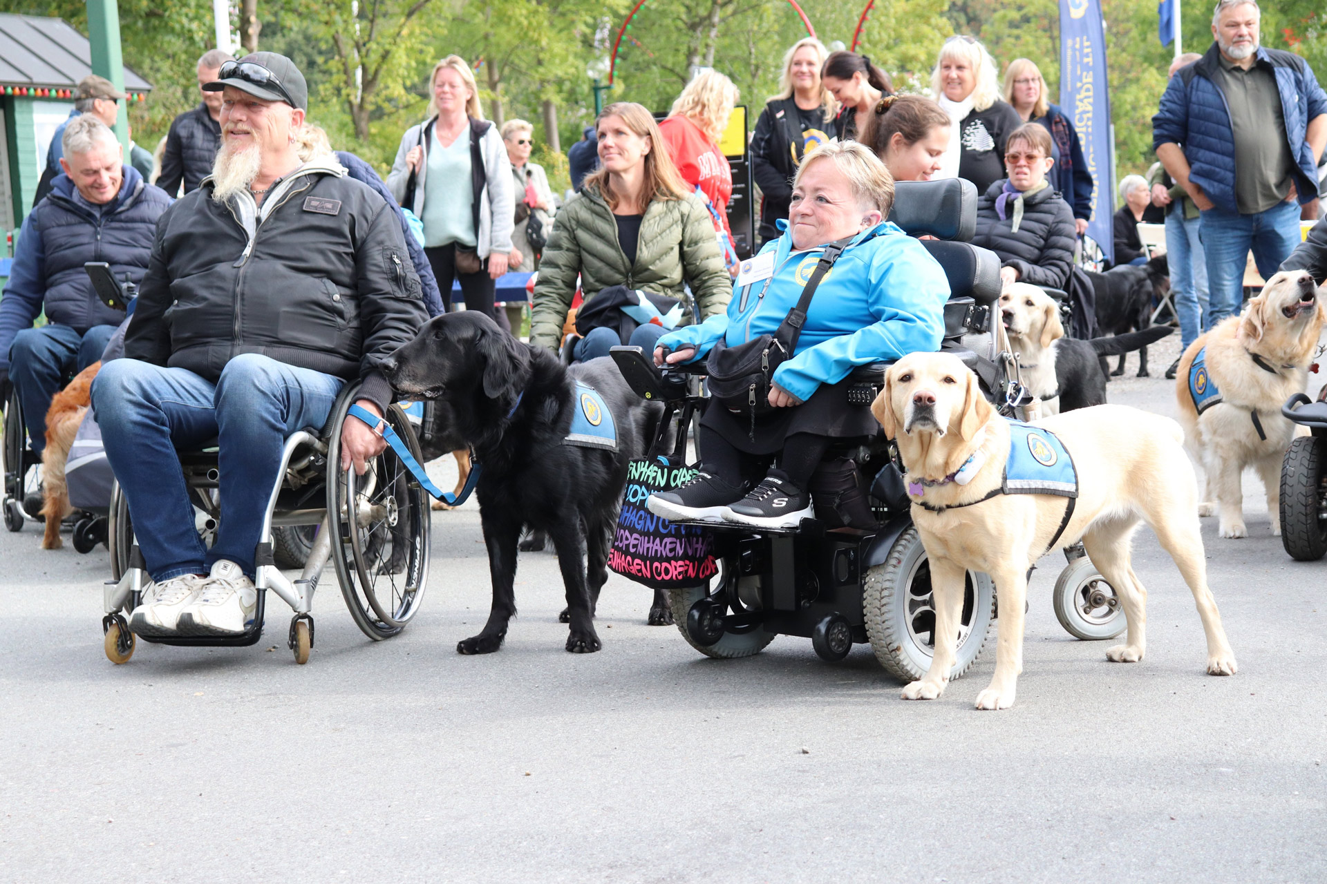 Flere servicehunde og brugere på tur med deres familier