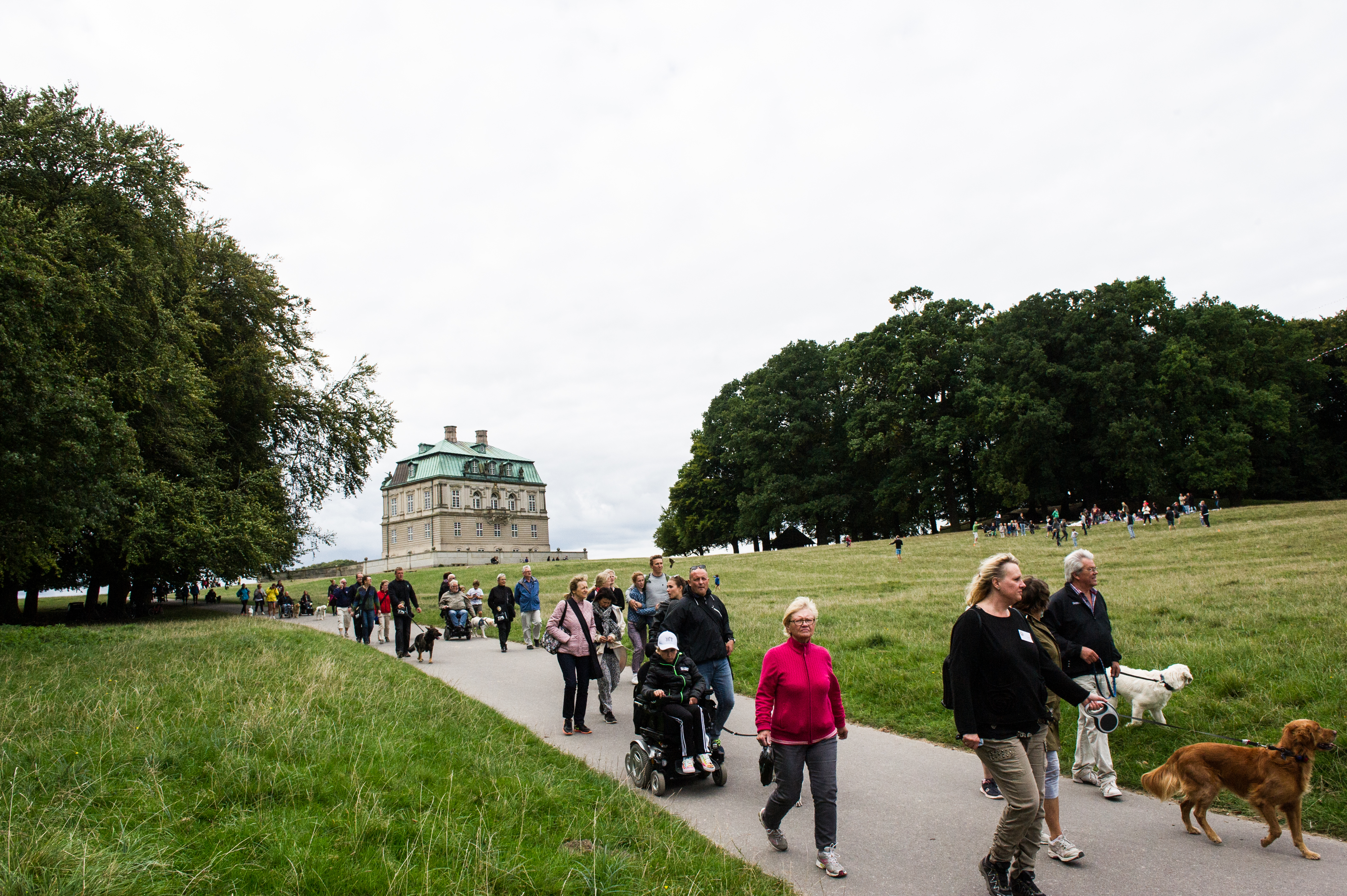 2016 foto til 2022 invitation 1