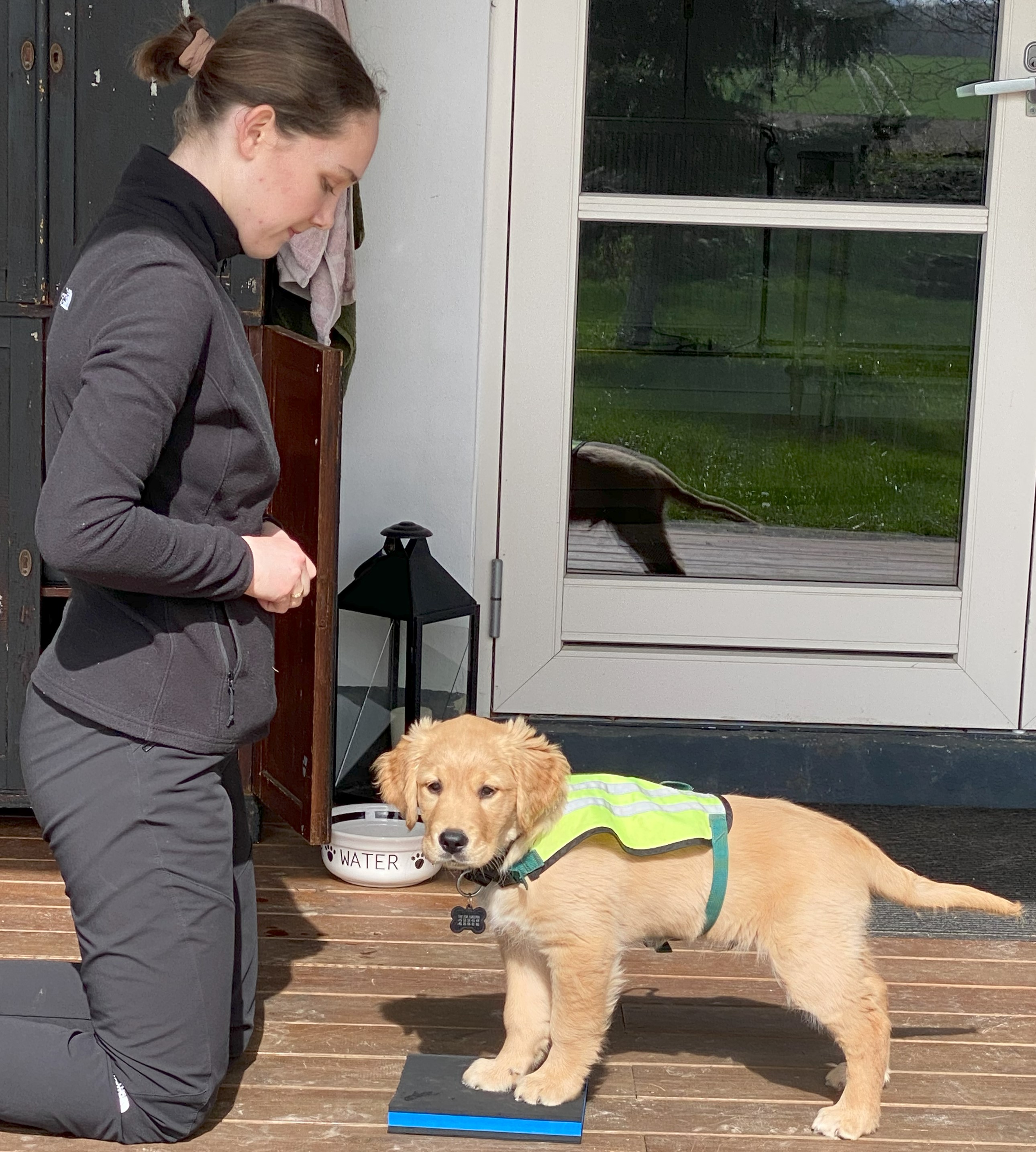 Hvalpevært Simone træner med servicehundeaspirant Dexter