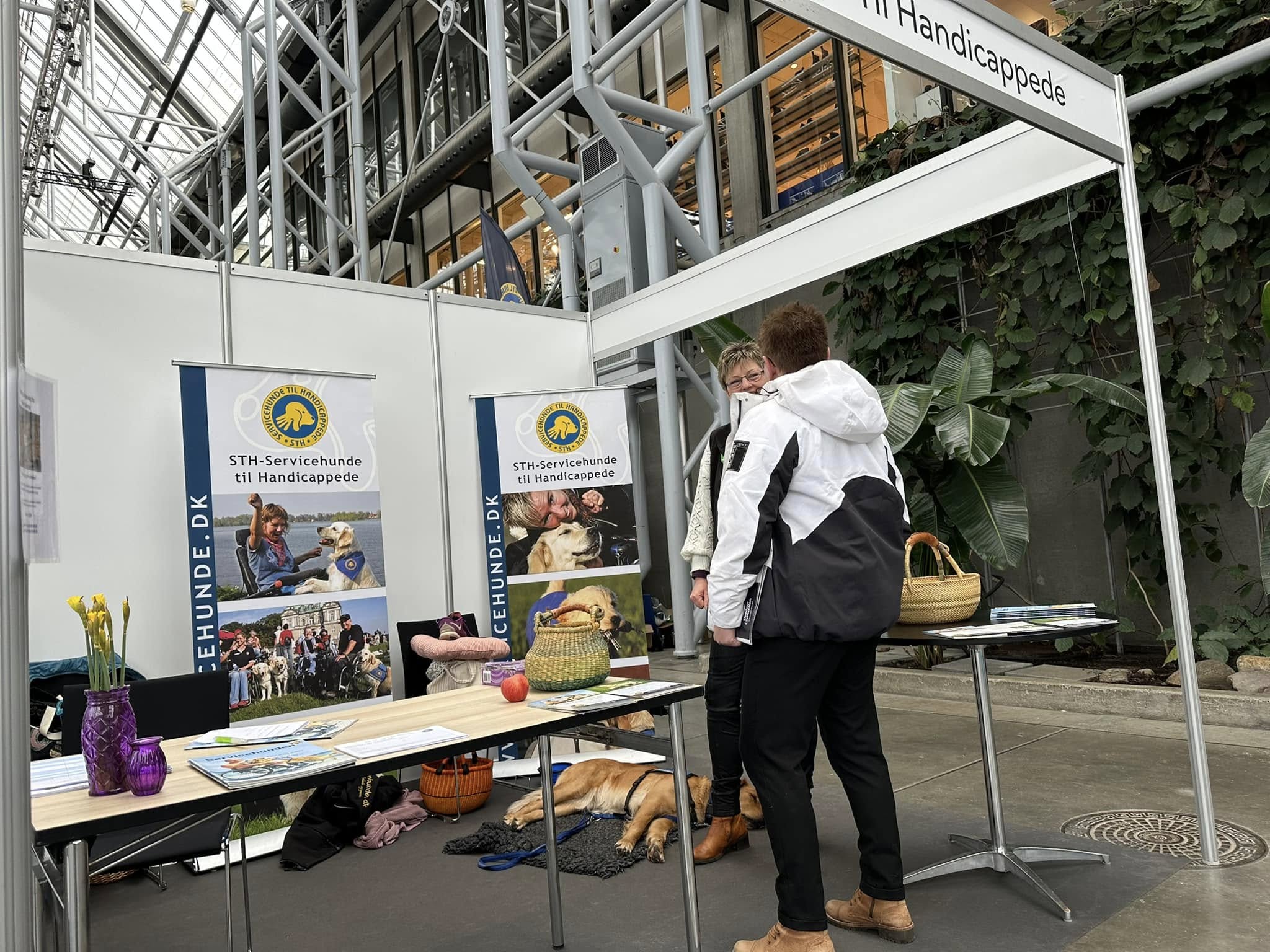 481289033 1040899468067182 398843643055171016 N