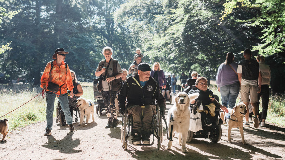 Brugere og servicehunde ude og gå i skoven til Dog A Thon