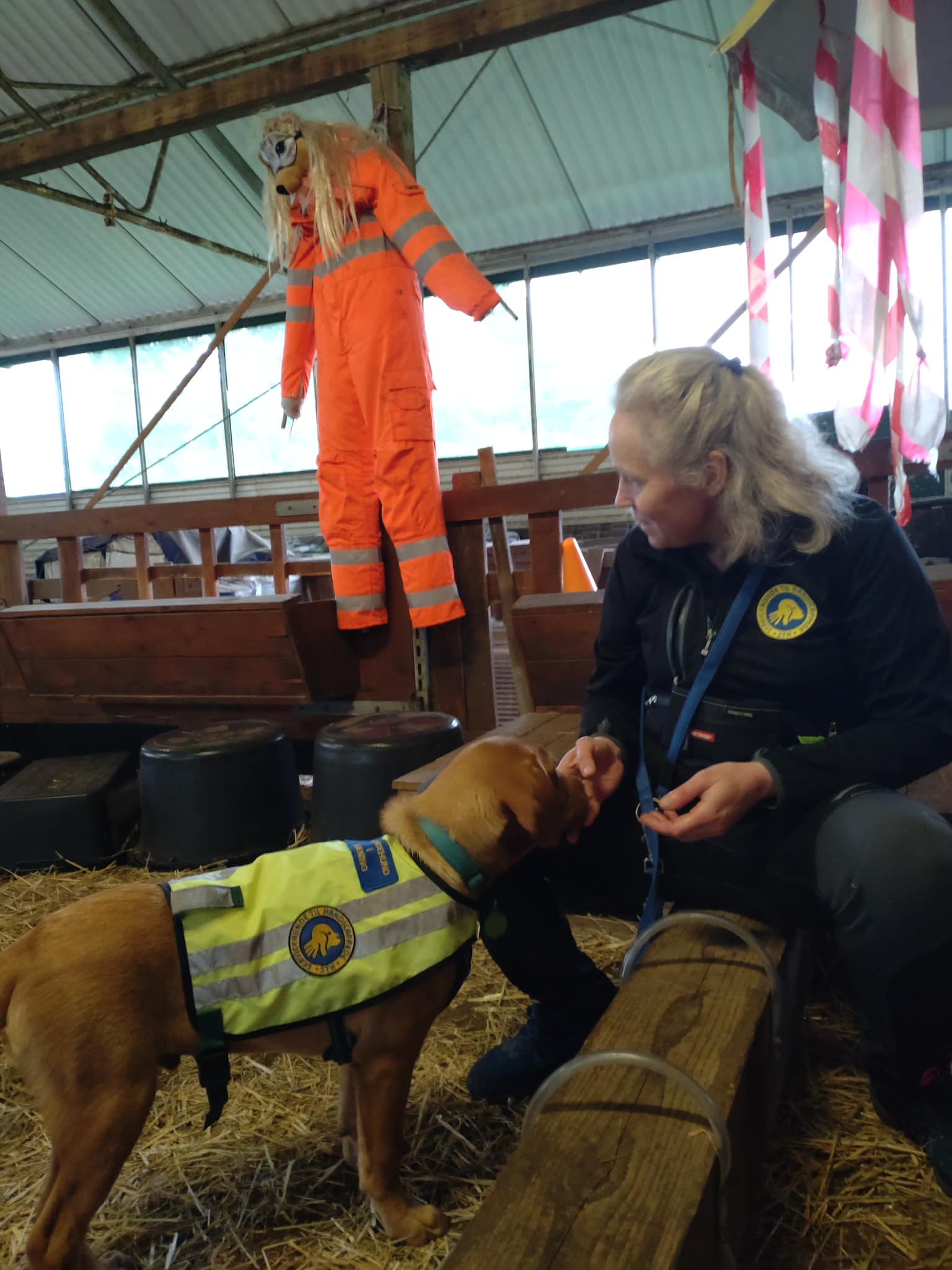 Hvalpevært Elisabeth og servicehundeaspirant Karl til hundetræning