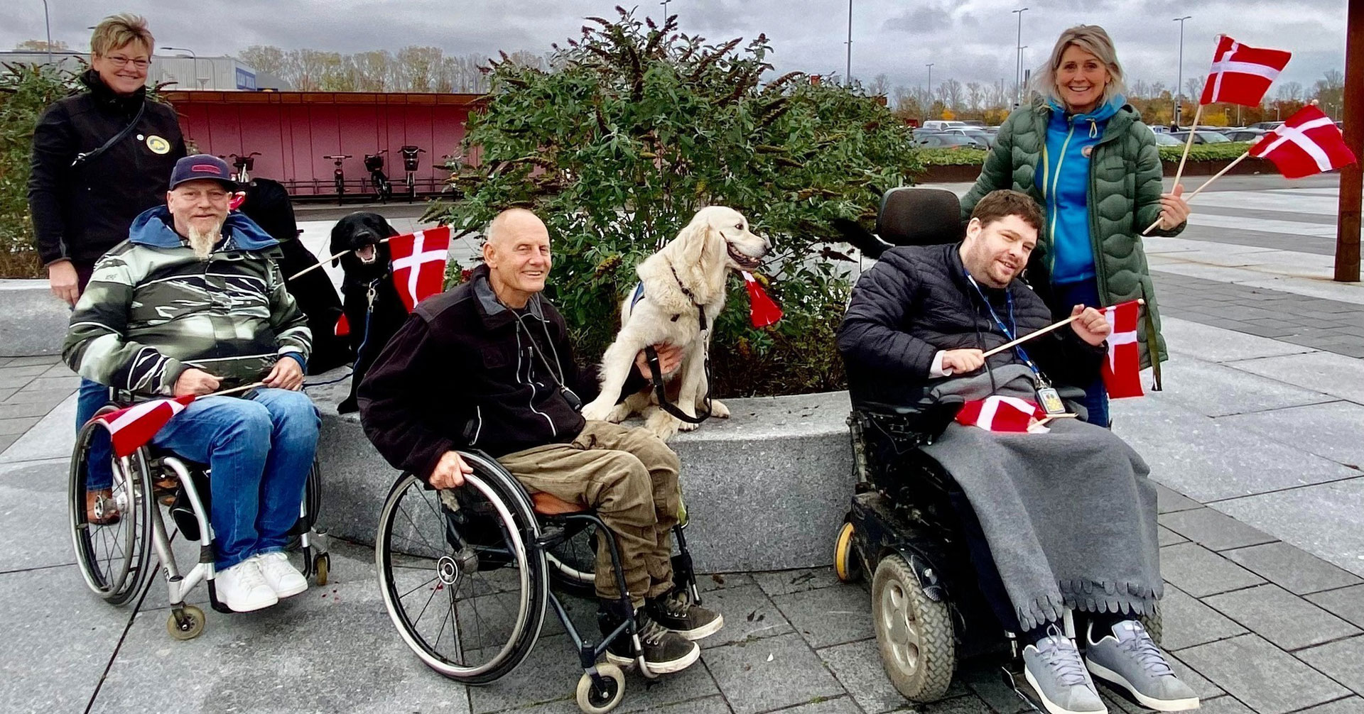 Servicehunde til handicappede sammen med deres brugere og hundeinstruktører