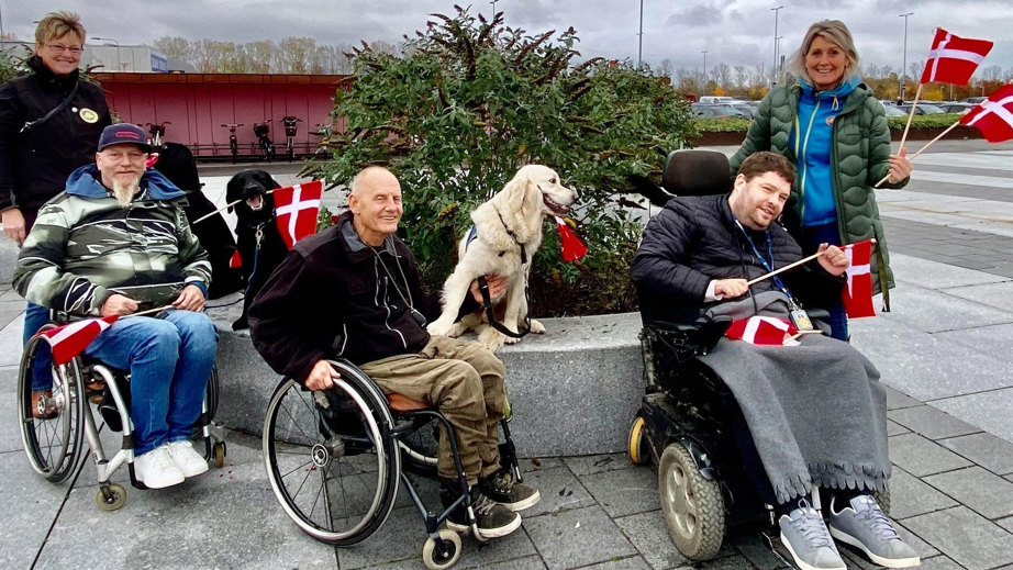 Servicehunde til handicappede sammen med deres brugere og hundeinstruktører