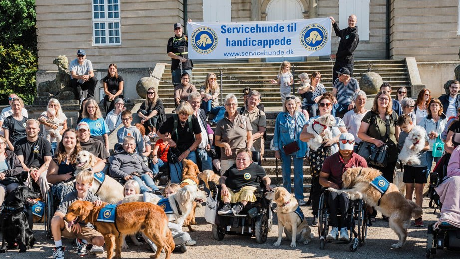 Dog A Thon fællesbillede med alle servicehunde og brugere
