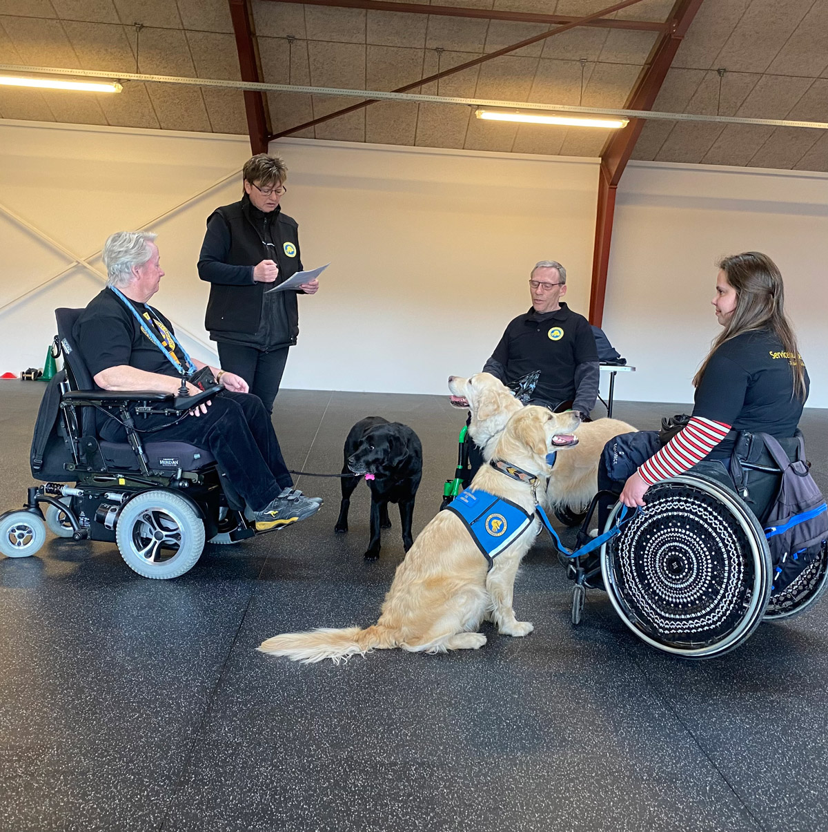 Hundeinstruktør læser op fra noget papir mens bruger og servicehunde lytter