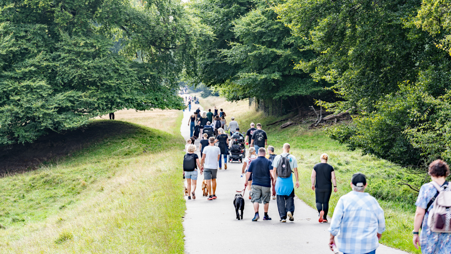 Gåtur langs en sti med bruger og servicehunde til Dog A Thon