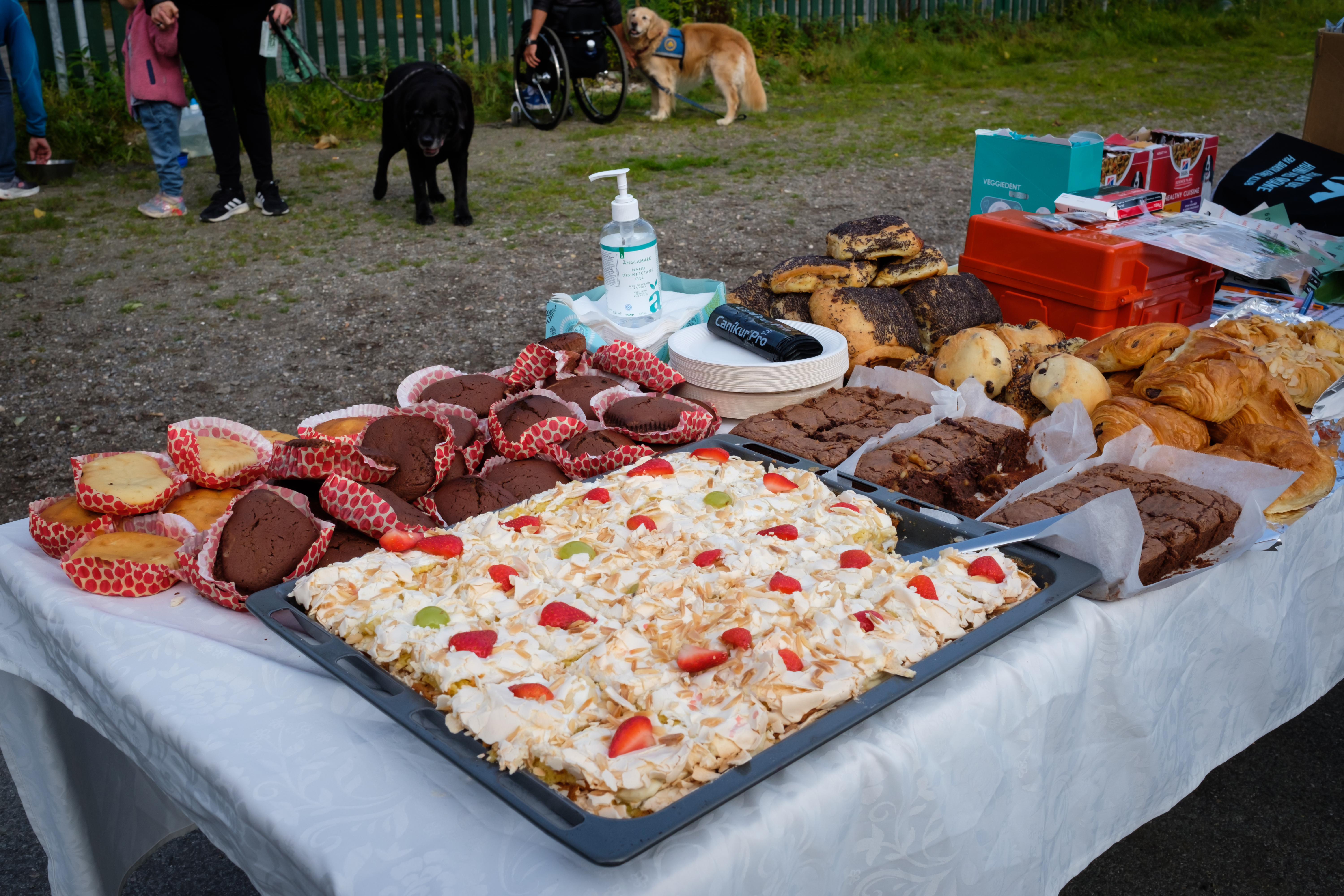 2023 09 30 STH Dog A Thon 2023 HQ 360