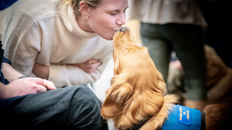 Servicehund kysser en kvinde til graduation