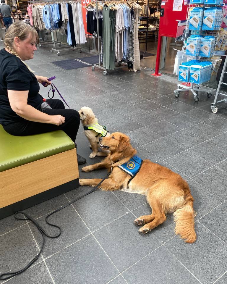 Axel I Shoppingcnter Juli 2024