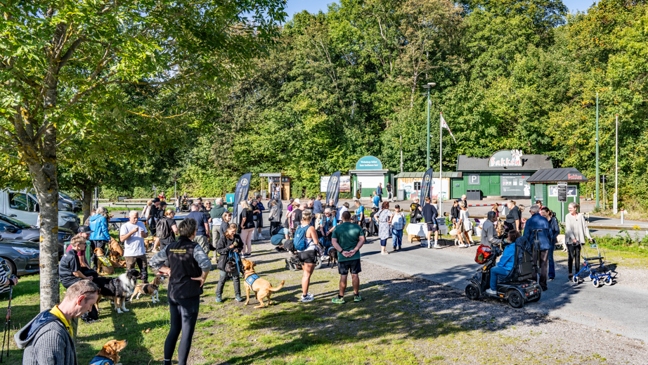 En tur på Bakken med servicehunde til Dog A Thon