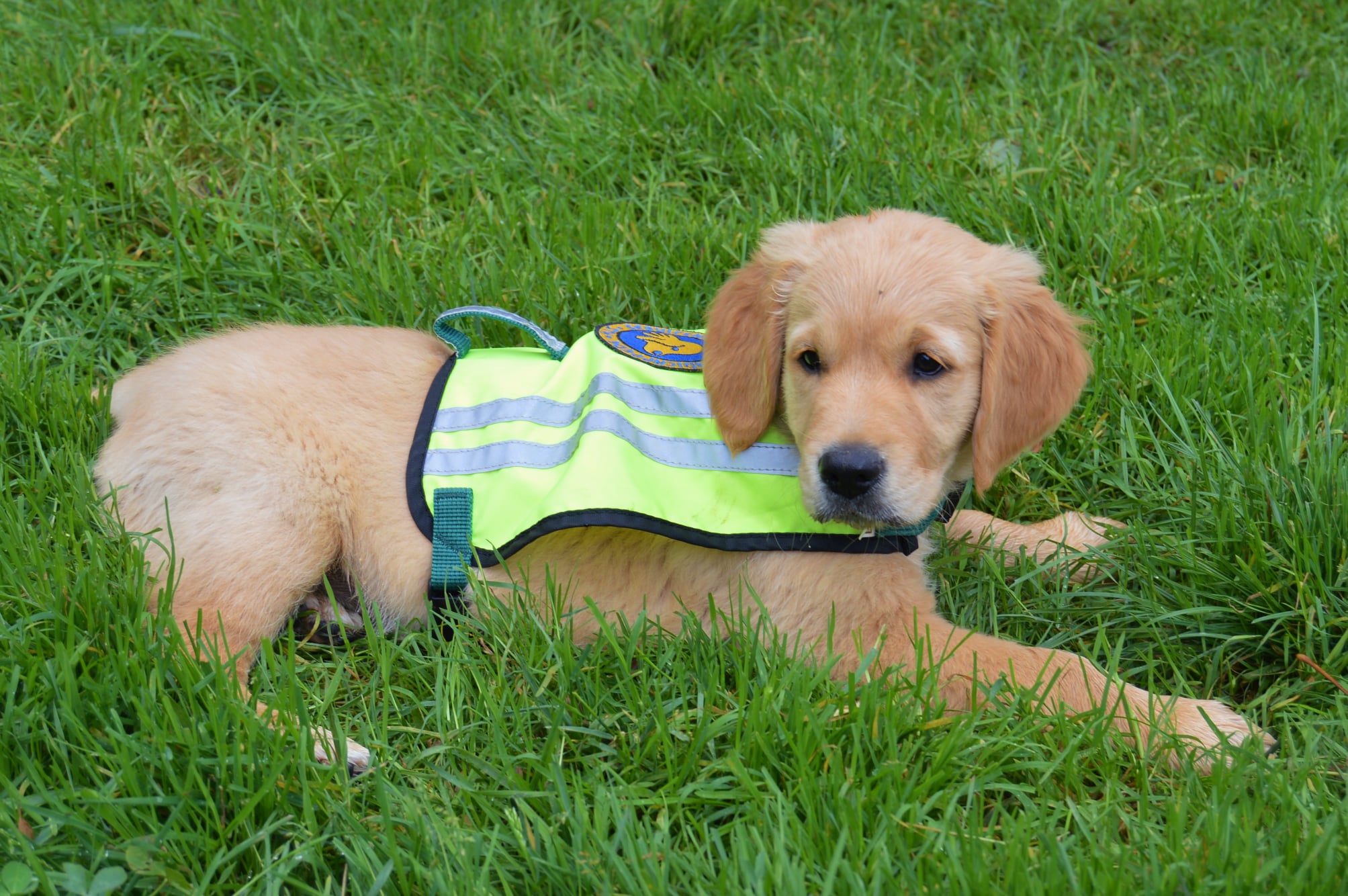 118317606 10224534066204482 8341095631793764636 O