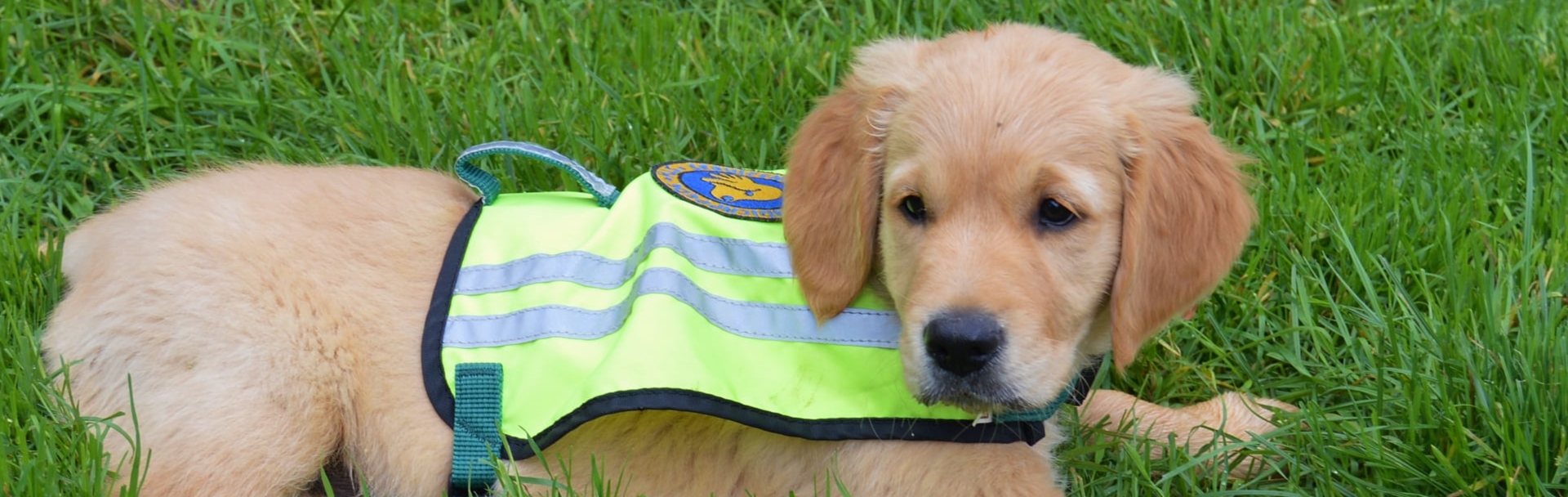 118317606 10224534066204482 8341095631793764636 O