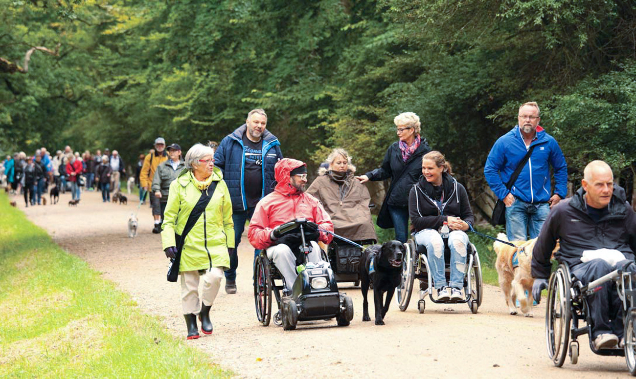 Brugere og servicehunde på tur i skoven med familierne og hundeinstruktører til Dog A Ton 