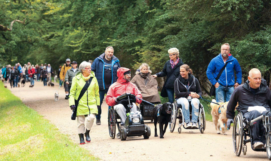 Brugere og servicehunde på tur i skoven med familierne og hundeinstruktører til Dog A Ton 