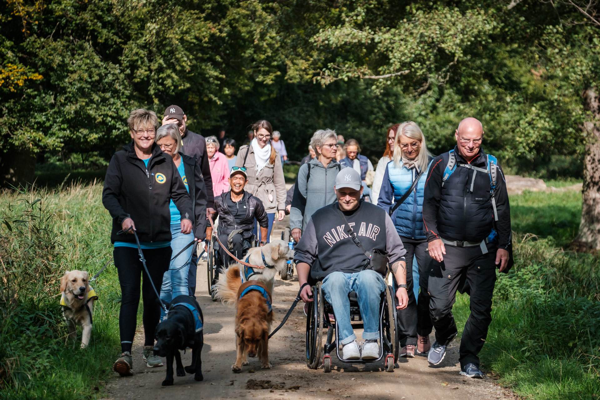 Servicehunde der går tur sammen med brugere og instruktører til Dog A Thon