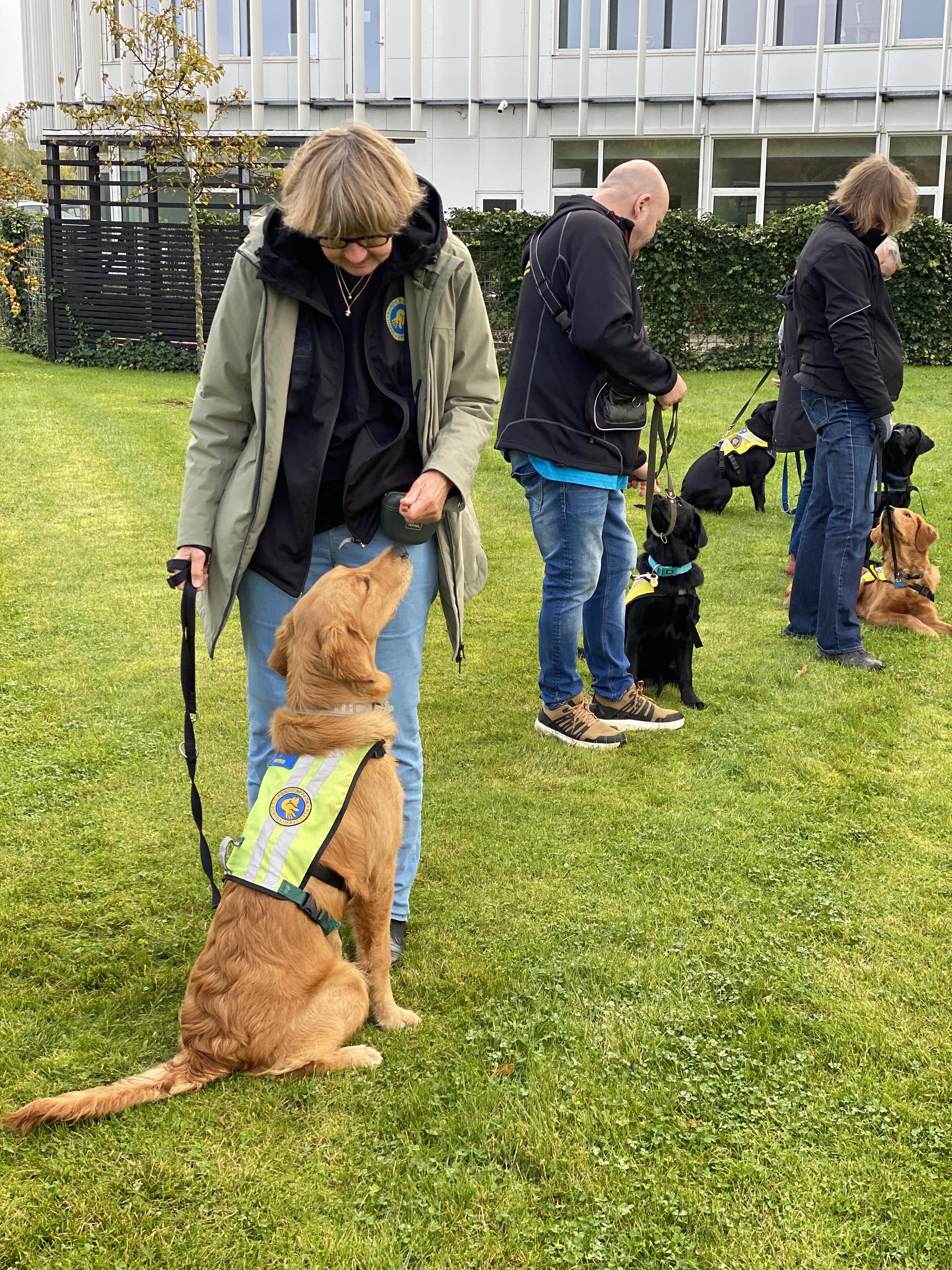 2023 Okt Enzo Hv Træning